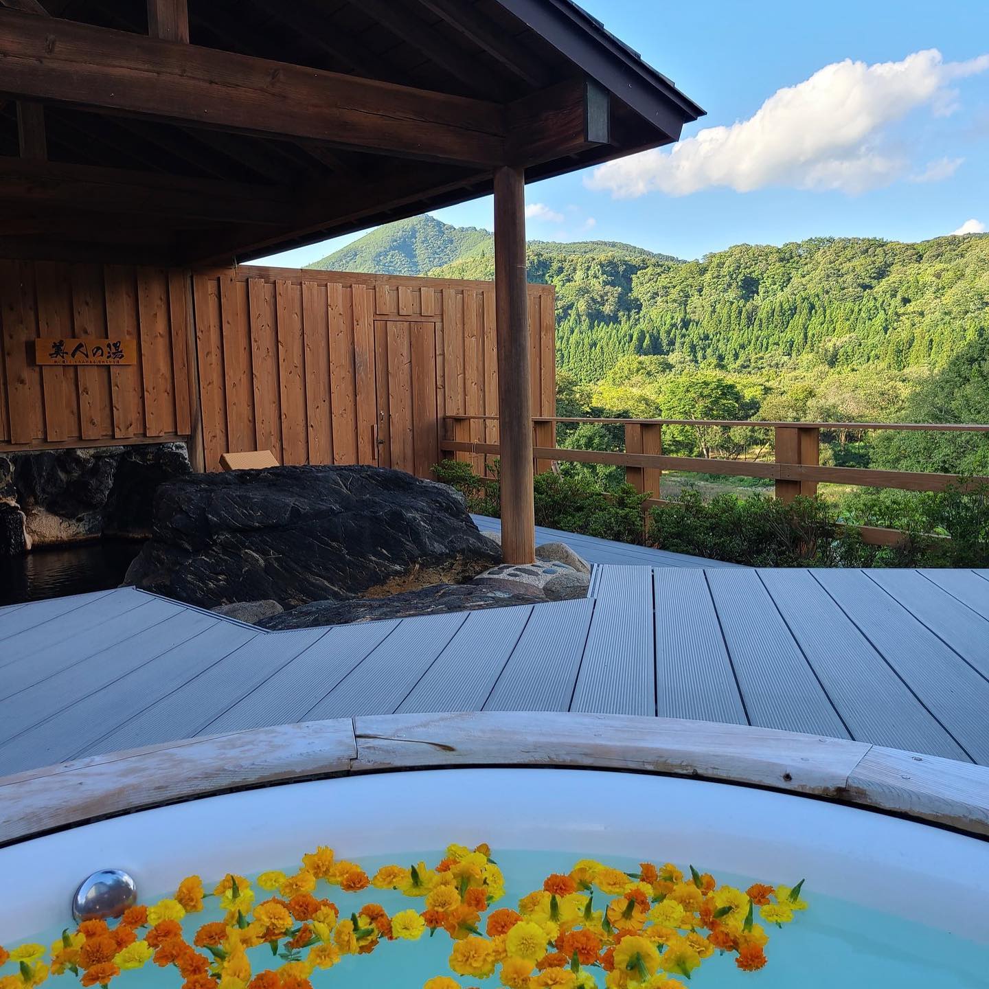 毎週恒例になりました♪