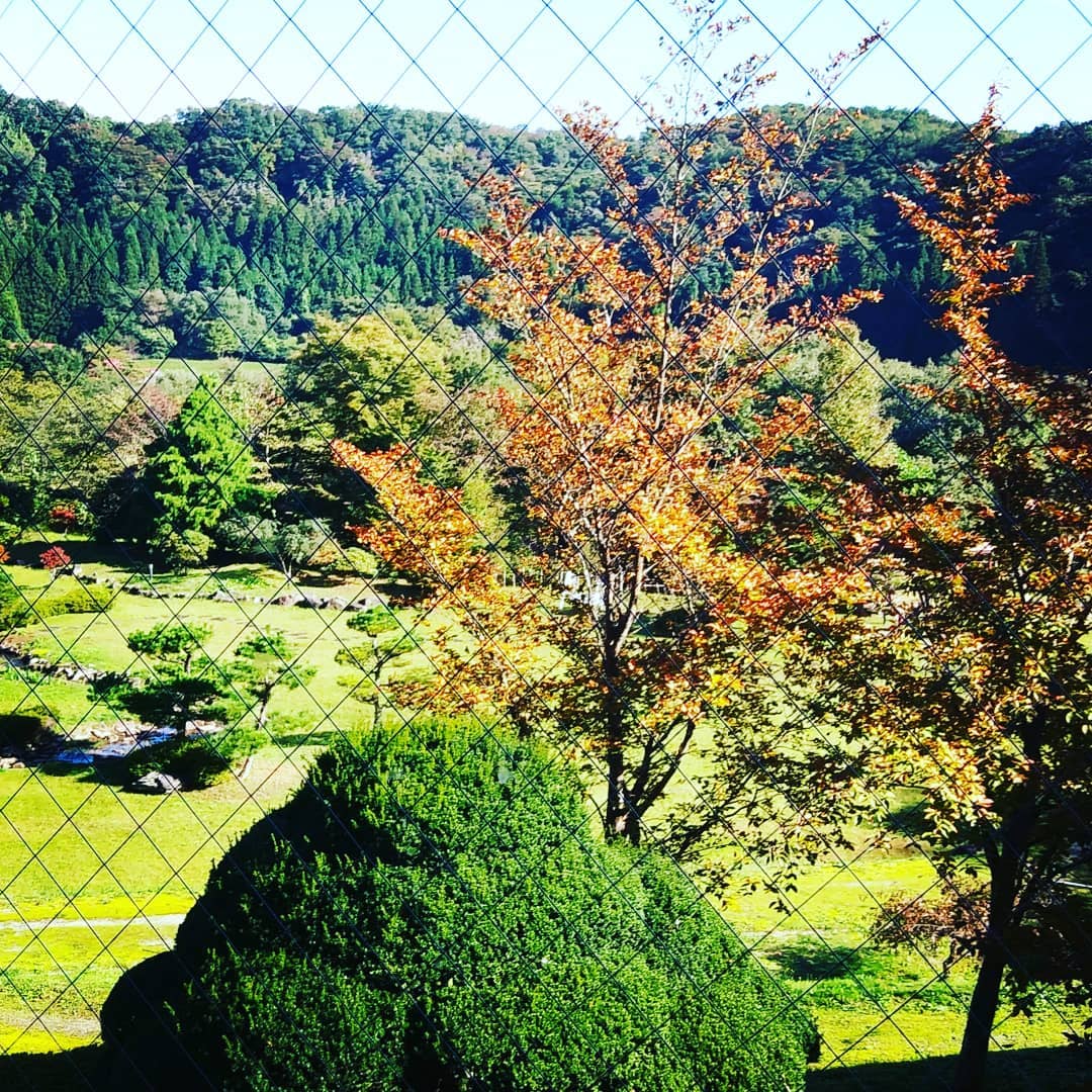 カウンター席もございます♪