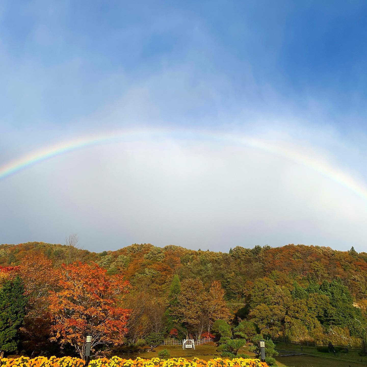 雨上がりの庭園に。