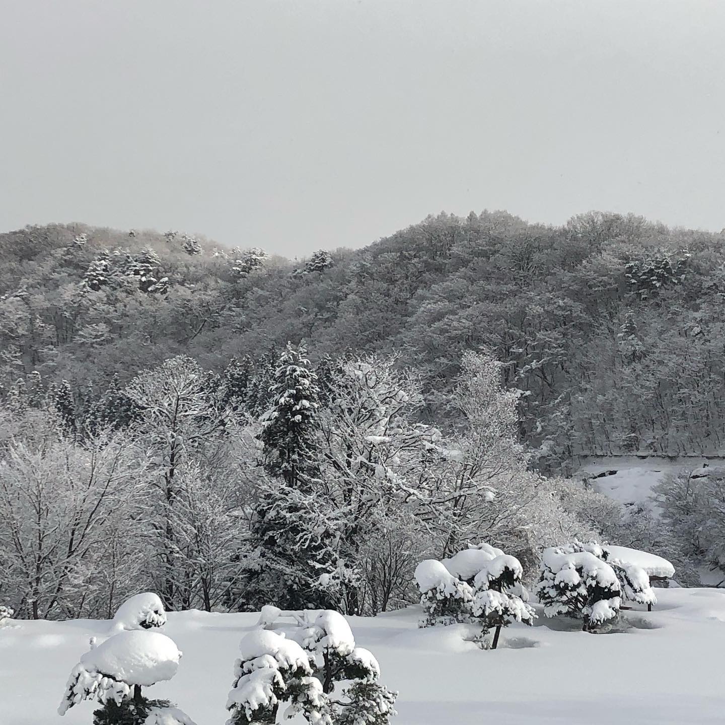 晴れ間に胸キュン♪