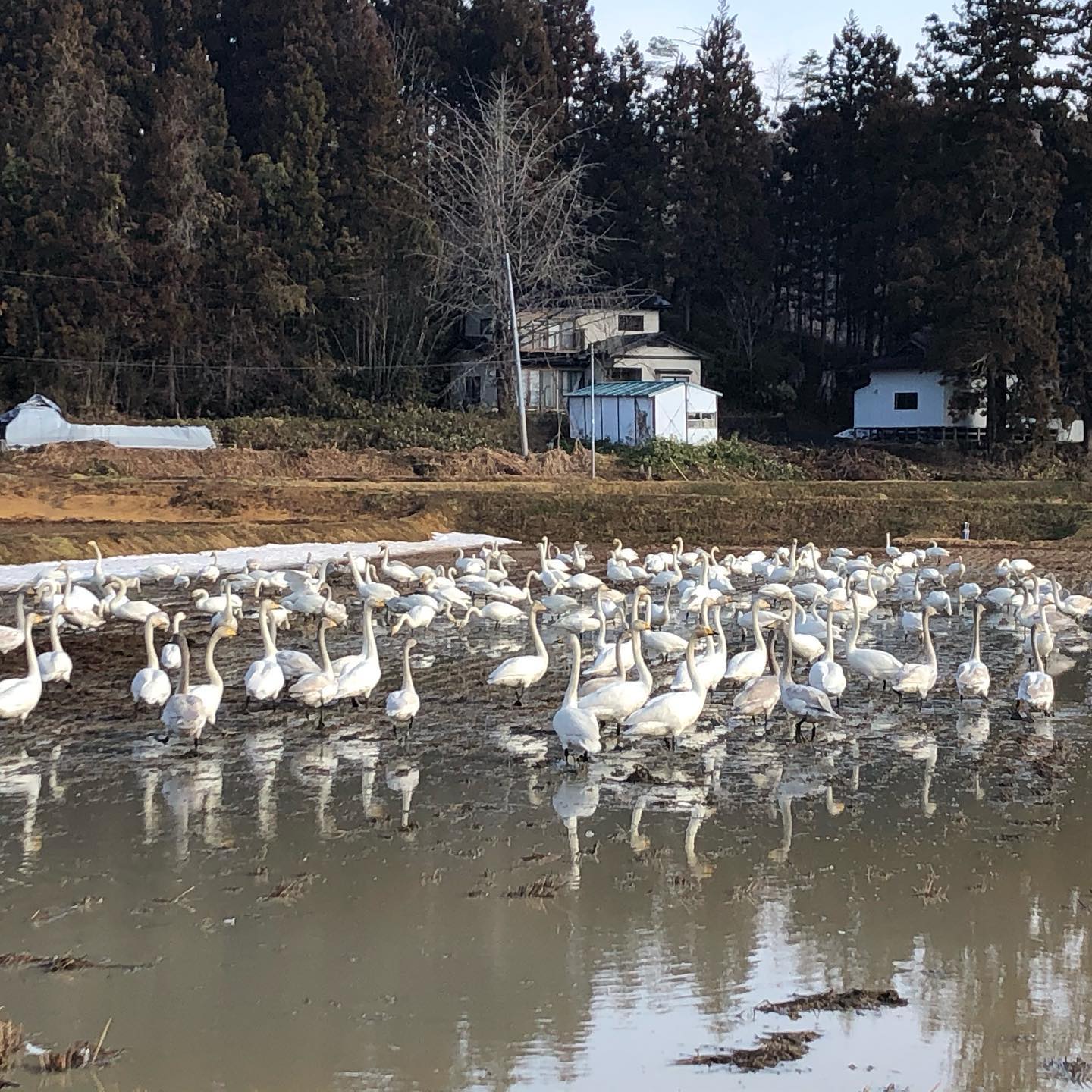 思い出作りのお手伝いはお任せください。