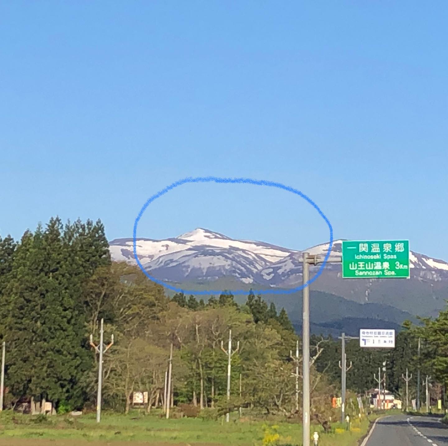 今年も本寺キツネがやって来ました！