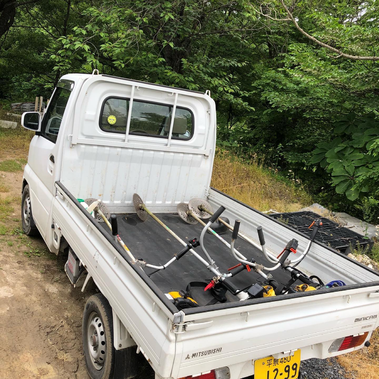 自然いっぱいな遊歩道は見応え満点です♪