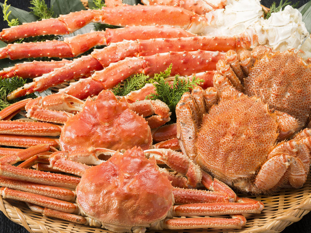 三陸の新鮮な魚介類