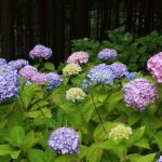 ジブリの世界を体験しましょう！