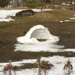 溶けちゃってる♪