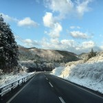 春の吹雪と厳美渓のさくら