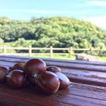 クリといつまでも