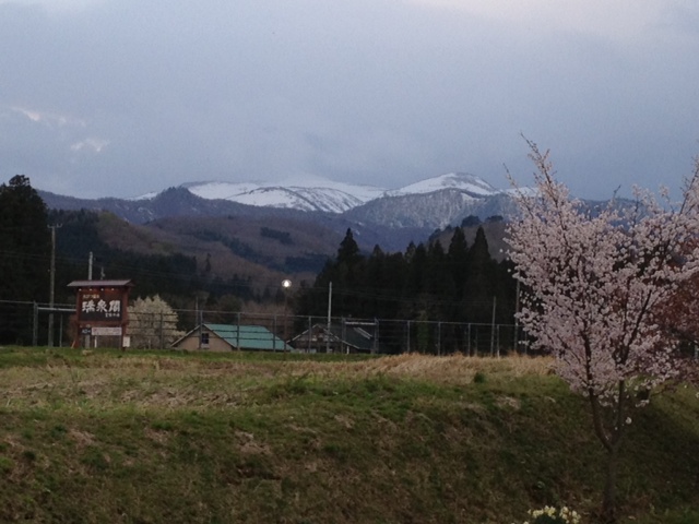 (2020年4月1日最新情報) お日帰り入浴のご案内