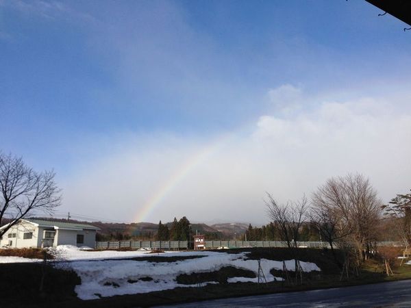 今日から2日間は休館日です。