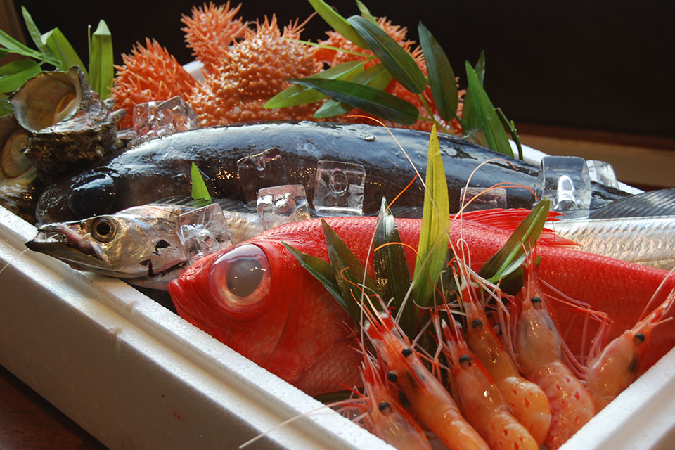 三陸産の新鮮な魚介類
