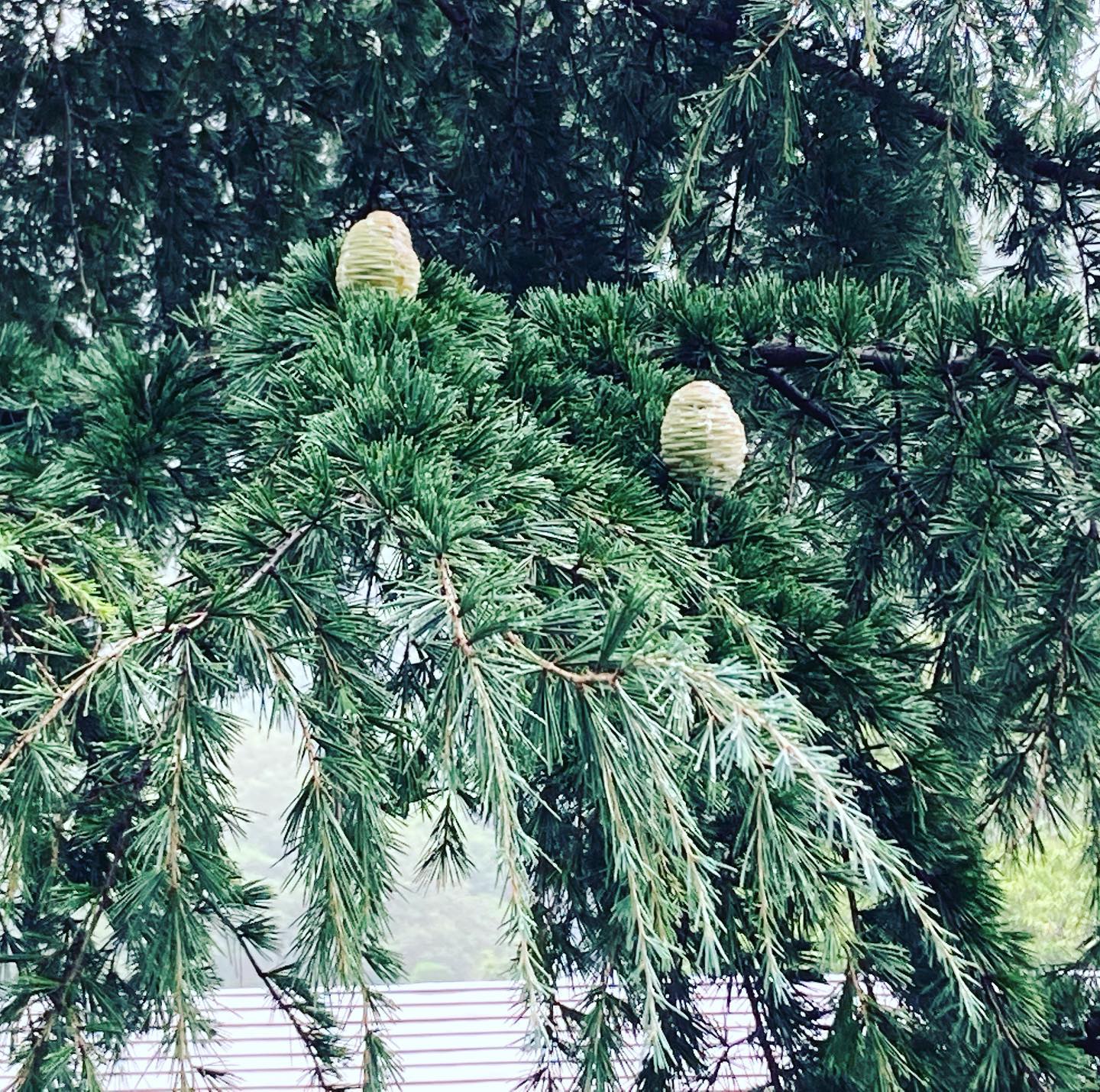 かわいい赤ちゃん発見！