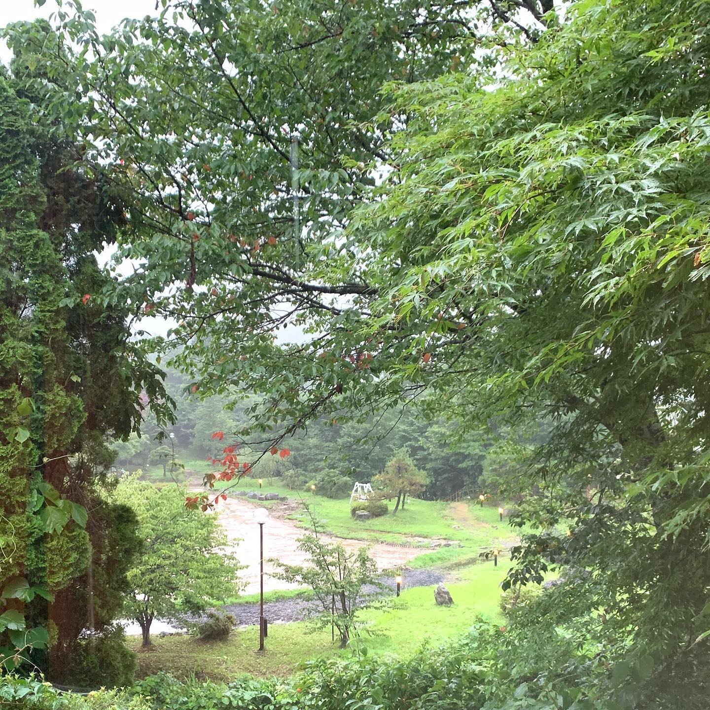 贅沢な景色が眼前に広がるのです♪