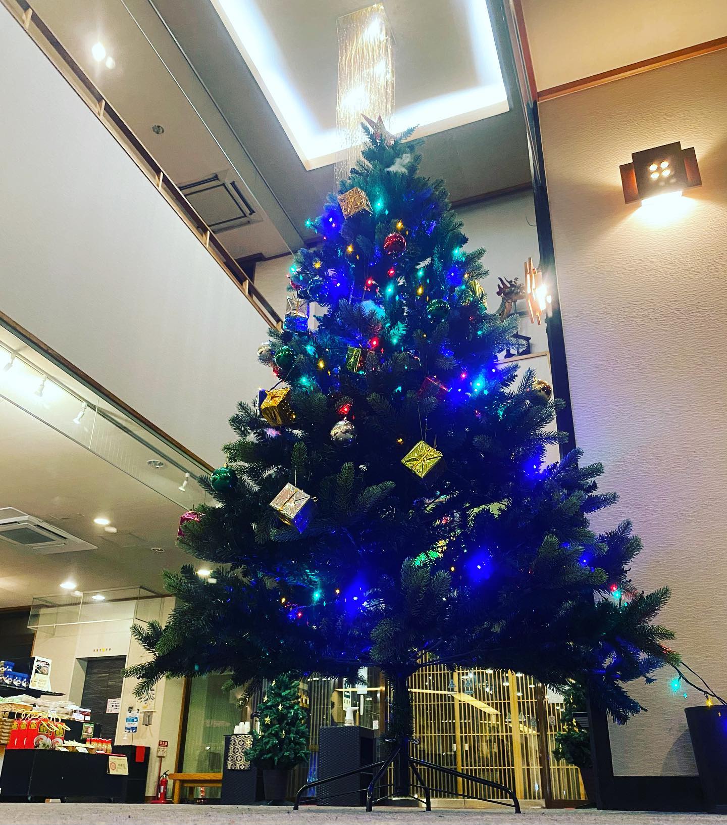 クリスマス気分到来！