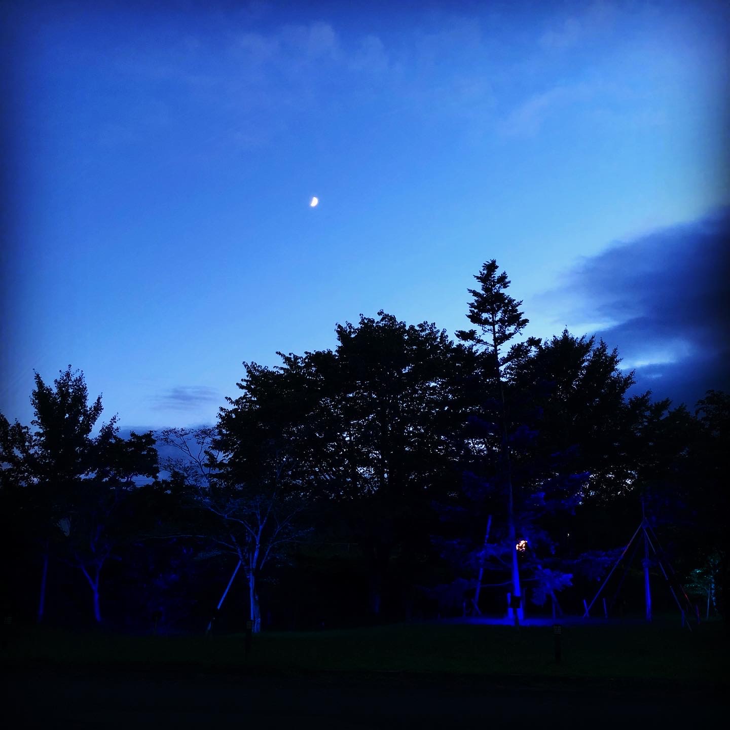 肉眼で見ていただきたいです。