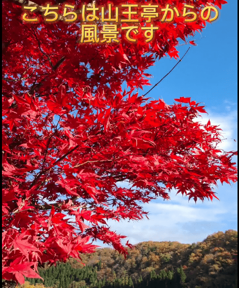 須川への道路も通行止めになりましたが、瑞泉郷は秋真っ盛りです。