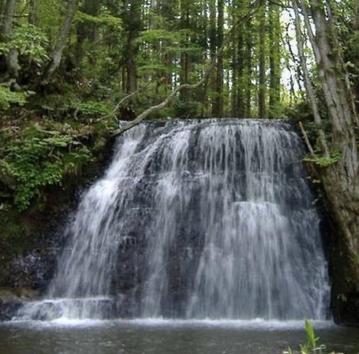 目っこの滝って！？