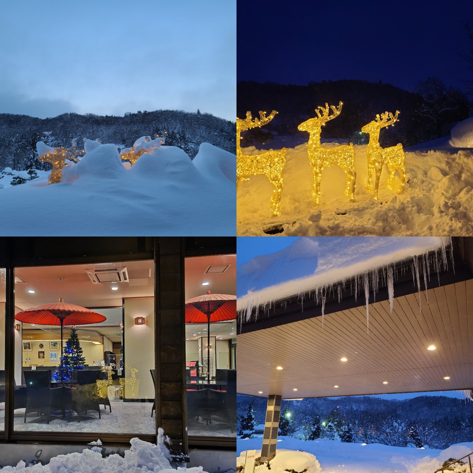 救出しました♪