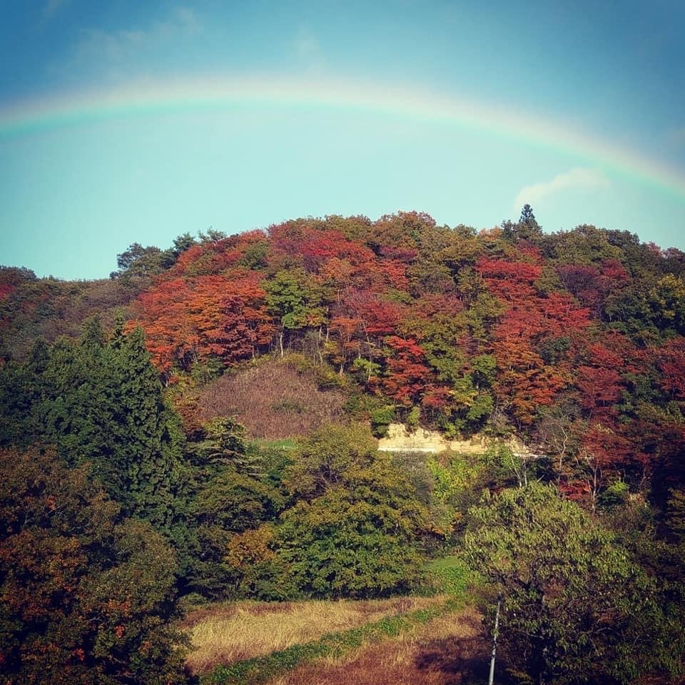 少し気が早いですが・・・紅葉のご紹介♪