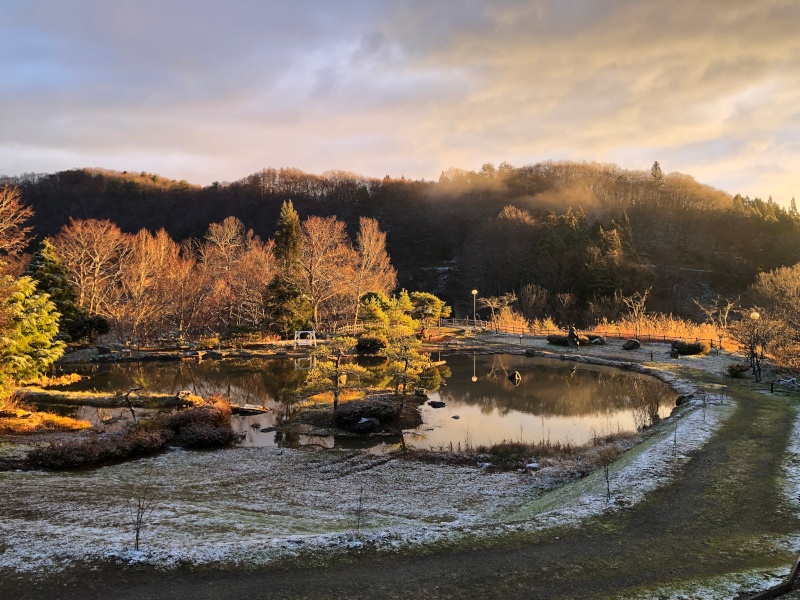 思わず見惚れてしまいました。