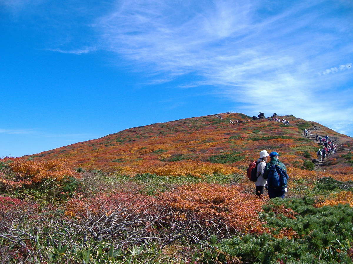 栗駒山の紅葉が見頃を迎えます！