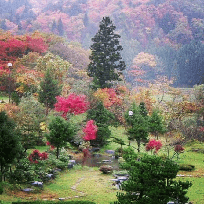 暑さ厳しき折。。。