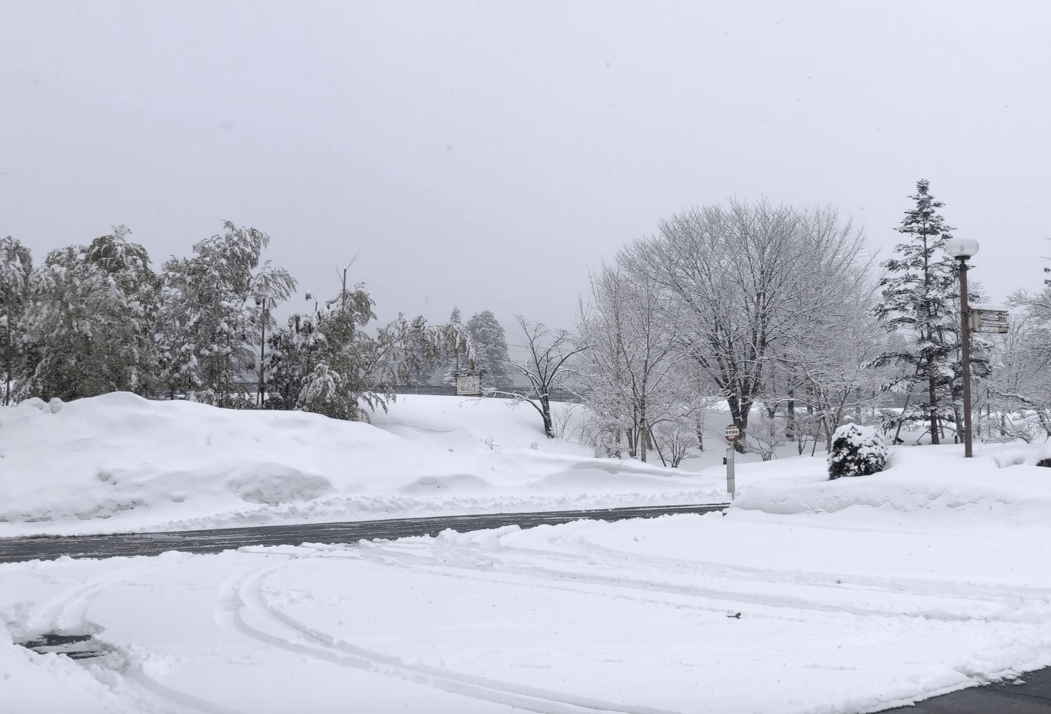 ホワイトアウトからの。