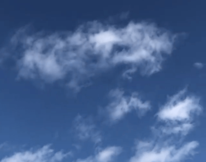 まばゆい白と青のコントラストが最高です♪