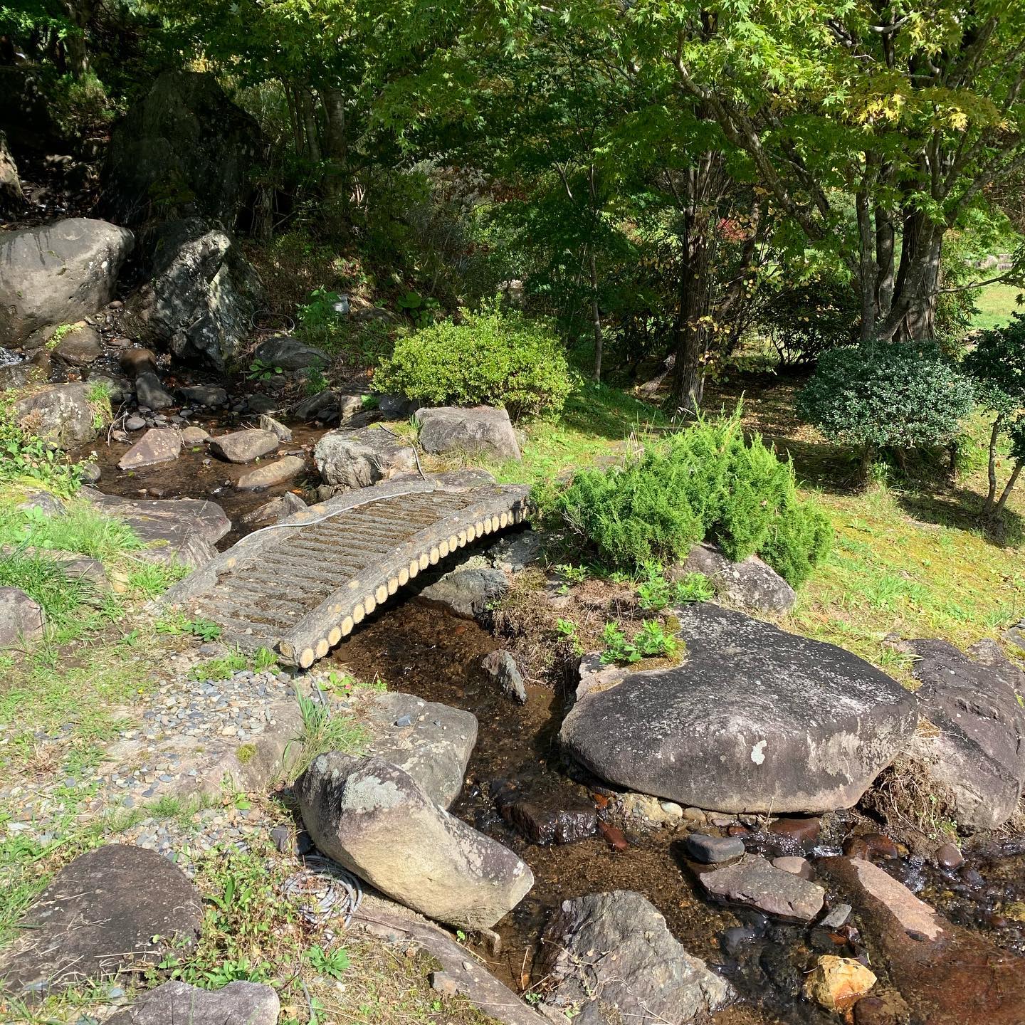 朝の澄んだ空気の中で。