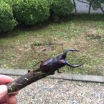 夏の終わり