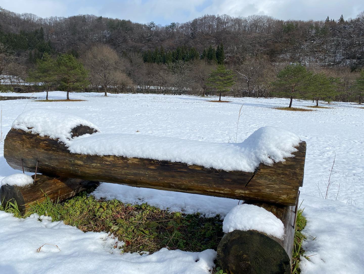 青空と白い雪