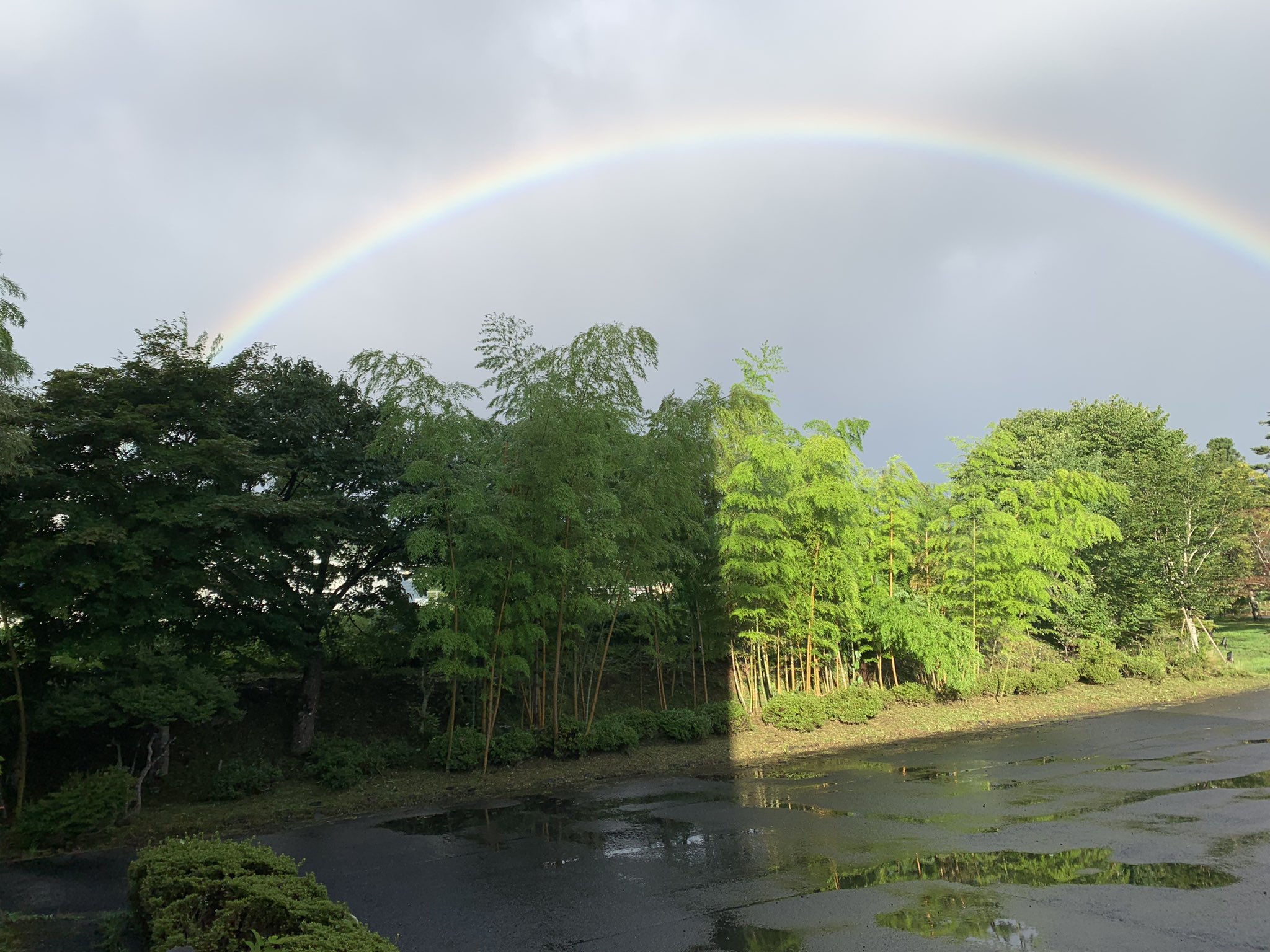 NO RAIN NO RAINBOW