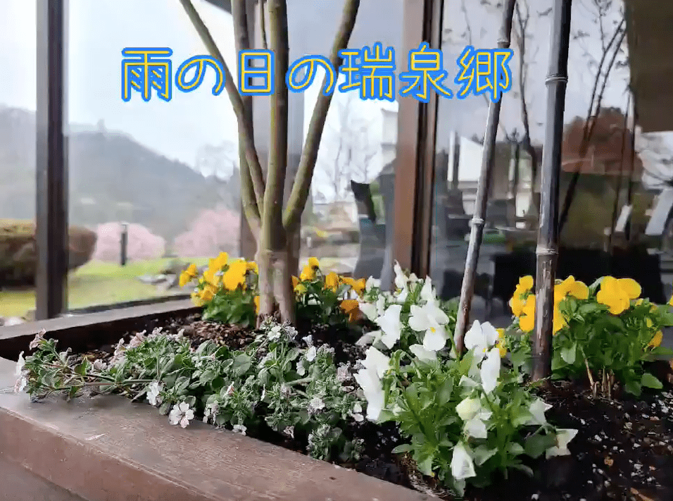 雨の瑞泉郷も良い感じ♪