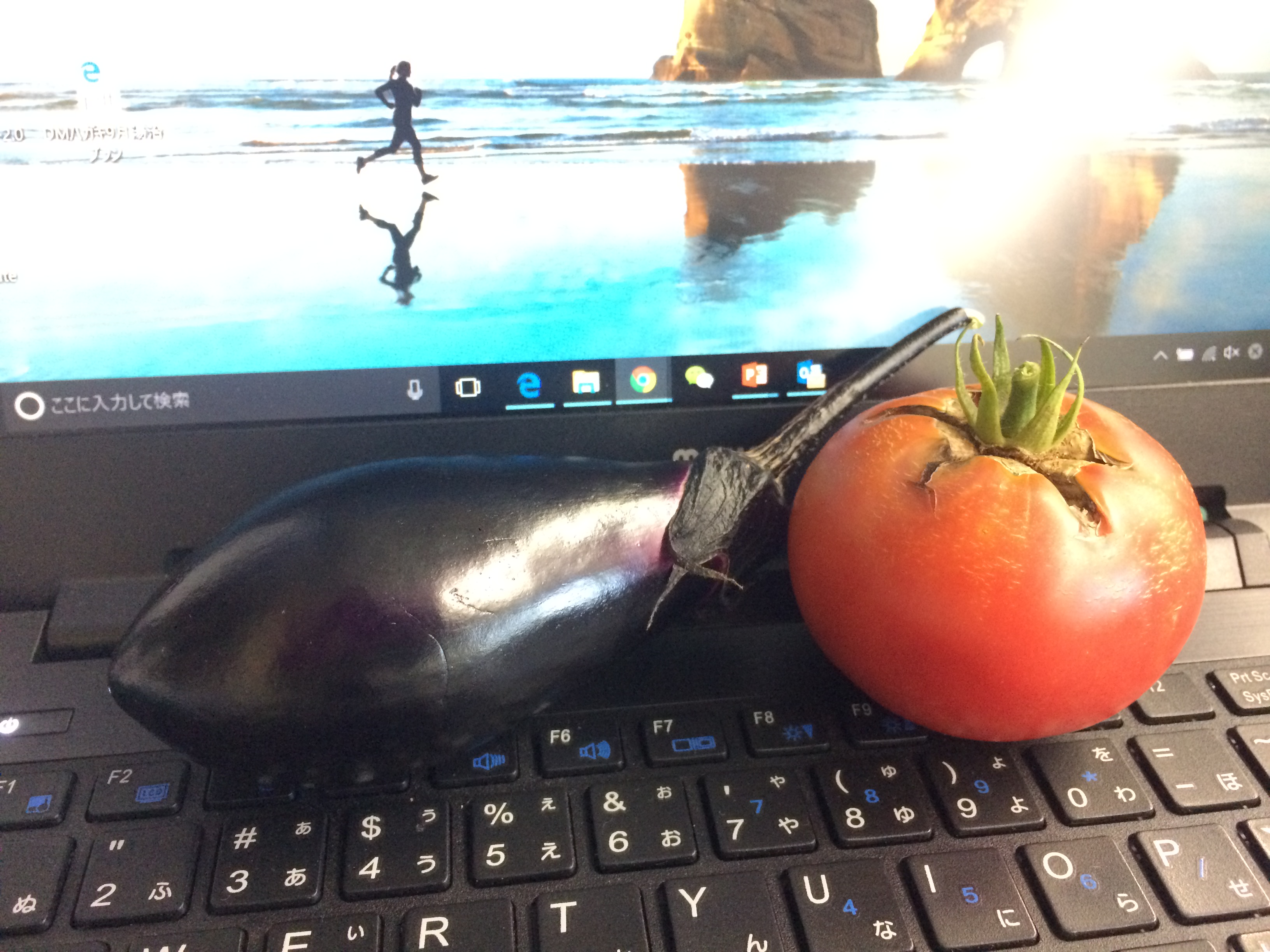 夏野菜の茄子とトマト