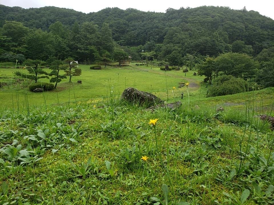 瑞泉郷 夏散歩。